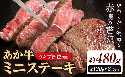 あか牛ミニステーキ ランプ部位使用 約480g 合同会社たべたせいか《30日以内に出荷予定(土日祝除く)》熊本県 菊池市 肉 牛肉 お肉 和牛 あか牛 ステーキ ミニステーキ 個包装 小分け 熊本県産 冷凍 送料無料---069-2062---