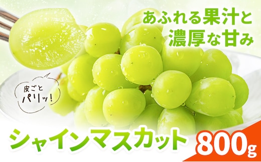 シャインマスカット 800g 株式会社エフビーネット《8月中旬-9月上旬頃出荷》熊本県 菊池市 ぶどう ブドウ マスカット 果物 フルーツ デザート ギフト ご贈答 熊本県産---034-6002---