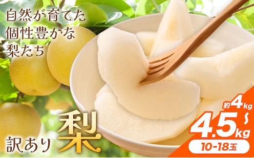 【先行予約】梨 訳あり梨 約4kg-4.5kg(10-18玉) 《2026年8月下旬-10月下旬頃出荷》 株式会社Foody's なし 和梨 フルーツ 果物 ご家庭用 不揃い キズあり 菊池市産 熊本県産 九州産---177-2361---