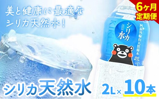 【6ヶ月定期便】シリカ天然水 500ml×42本 計252本 株式会社Foody's《申込月の翌月から出荷開始》熊本県 菊池市 シリカ水 飲料水 ミネラルウォーター 水 軟水 鉱水 ペットボトル 定期便---159-1878---