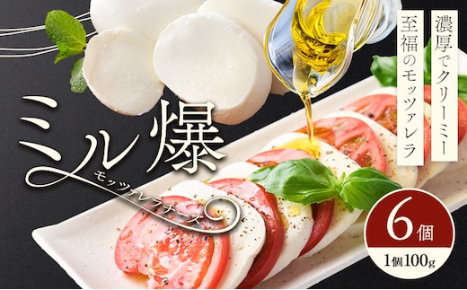 モッツァレラチーズ ミル爆 6個 チーズ モザレラ 株式会社フォルナ・ヴェスタ《90日以内に出荷予定(土日祝除く)》フレッシュ カプレーゼ おつまみ 前菜 手作り 国産 熊本県 菊池市 送料無料---018-1986---