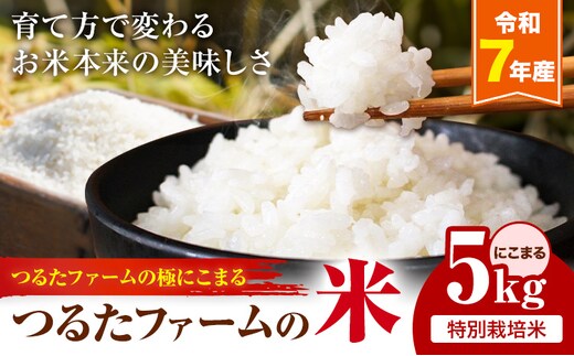 令和7年産 つるたファームの米 極にこまる 特別栽培米 にこまる 5kg 株式会社七城の恵み《30日以内に出荷(土日祝除く)》熊本県 菊池市 米 にこまる つるたファーム---126-2516---