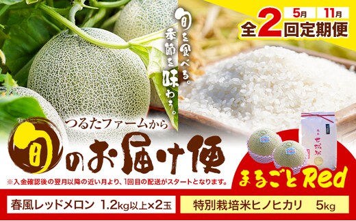 【全2回定期便】つるたファームから旬のお届け便 まるごとRed 特別栽培米 ヒノヒカリ 5kg 春風レッド メロン 2玉 株式会社七城の恵み《メロン5月・米11月出荷予定》熊本県 菊池市 米 メロン ひのひかり 定期便 つるたファーム---126-1592---