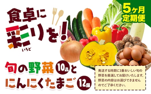 旬の野菜とたまごのセットメロンドーム 野菜 卵 にんにくたまご 卵 詰め合わせ 5ヶ月 定期便 有限会社七城町特産品センター《お申し込みの翌月から出荷》熊本県 菊池市 セット 新鮮 国産 九州産 熊本県 菊池市 道の駅 旬---003-2420---