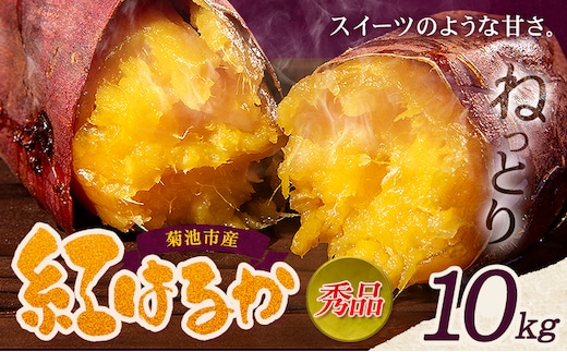 秀品 紅はるか 約10kg S～2L混合 株式会社Foody's 《90日以内に発送予定（土日祝を除く）》熊本県 菊池市 さつまいも 芋 紅蜜芋 焼き芋 野菜 菊池市産 熊本県産 九州産 ---177-2264---