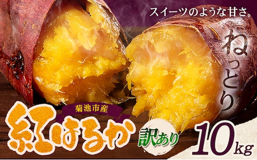 訳あり 紅はるか 約10kg 2S～3L混合 株式会社Foody's 《90日以内に発送予定（土日祝を除く）》熊本県 菊池市 訳あり さつまいも 芋 紅蜜芋 焼き芋 野菜 菊池市産 熊本県産 九州産---177-2261---