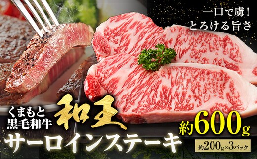 熊本和王 サーロインステーキ 約600g 1枚約200g ケーズフードマーケティング《90日以内に出荷予定(土日祝除く)》熊本県 菊池市 サーロイン ステーキ お肉 牛肉 和牛 くまもと黒毛和牛 和王 熊本県産 九州産 国産 冷凍 送料無料---179-2654---