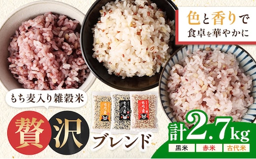 もち麦入り雑穀米 贅沢ブレンド 450g×3種類 各2袋 合同会社くまもとごはん《30日以内に出荷予定(土日祝除く)》熊本県菊池産 残留農薬不検出 真空パック 便利なチャック付 お米 もち麦 雑穀米 セット 九州産 熊本県産 菊池市産 送料無料---026-5052---