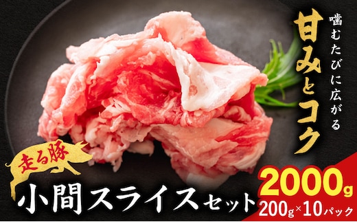 菊池やまあいの豚小間スライス 2kg《90日以内に出荷予定》(土日祝除く)》1パック200g 豚肉 豚小間 スライス済み 小分け 熊本県産 九州産 国産 冷凍 送料無料---167-1902---