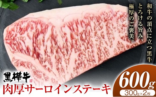 くまもと黒毛和牛 杉本本店 黒樺牛 A4~A5等級 肉厚サーロインステーキ 300g×2 計600g《90日以内に出荷予定(土日祝除く)》---090-1854-R---