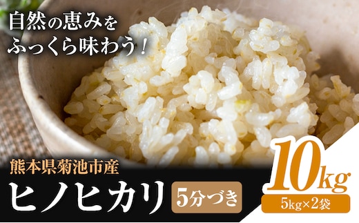 米 ヒノヒカリ 5分づき 10kg 内容量 1袋 5kg 合同会社くまもとごはん 《30日以内に出荷予定(土日祝除く)》 熊本県 菊池市 お米 分づき米 九州産 熊本県産 白米 無洗米 ひのひかり 送料無料---026-0523---