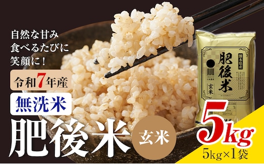 令和7年産 熊本県産 肥後米 玄米 5kg 1袋5kg 株式会社くまもとごはん 《30日以内に出荷予定(土日祝除く)》米 お米 令和7年産 九州産 熊本県産 送料無料---026-3012---