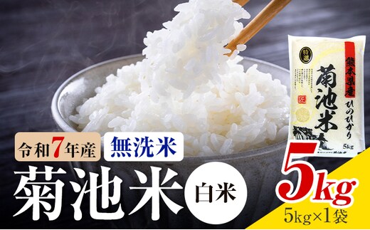令和7年産 熊本県産 菊池米 白米 無洗米 5kg 1袋5kg 株式会社くまもとごはん 《30日以内に出荷予定(土日祝除く)》米 お米 令和7年産 九州産 熊本県産 送料無料---026-3074---