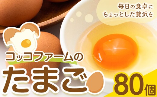 コッコファームのたまご 80個 コッコファーム《90日以内に出荷予定(土日祝除く)》熊本県 菊池市 卵 鶏卵 玉子 たまご 家庭用 熊本県産 九州産 冷蔵 送料無料---043-2020---