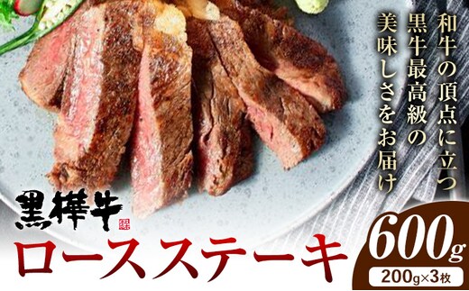 牛肉 くまもと黒毛和牛 黒樺牛 A4-A5等級 ロースステーキ(1枚200g) 計600g 杉本本店《90日以内に出荷予定(土日祝除く)》ステーキ 和牛 お肉 黒毛和牛 国産 九州産 熊本県産 冷凍 送料無料---090-2080-R---