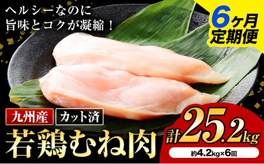 【6ヶ月定期便】 九州産若鶏ムネ肉 カット済 600g×7袋×6回 計25.2kg 鶏肉 お肉 ムネ肉 むね肉 小分け 冷凍 九州産 国産 熊本県 菊池市 送料無料《お申込み翌月から出荷》---kikuchi_nky_5_mo6---