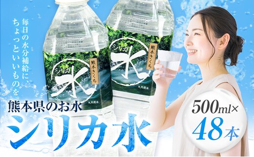 水 シリカ水 500ml × 48本 有限会社七城町特産品センター メロンドーム 《30日以内に出荷予定(土日祝除く)》 熊本県 菊池市 水 軟水 飲料 ドリンク 清涼飲料水 天然地下水 ペットボトル ミネラルウォーター 定期便 送料無料---003-1495---
