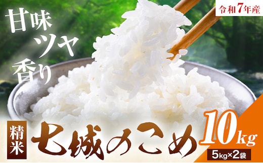 令和7年産 七城のこめ 精米 10kg(5kg×2袋) ヒノヒカリ ひのひかり 有限会社七城町特産品センター《30日以内に出荷予定(土日祝除く)》 熊本県 菊池市 定期便 お米 米 白米 九州産 熊本県産---003-0547---