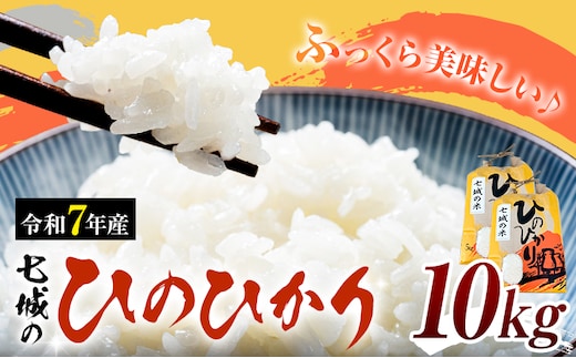 米 令和7年産 七城の ひのひかり 10kg 有限会社草佳苑《90日以内に出荷予定(土日祝除く)》熊本県 菊池市 こめ 米 ひのひかり ブランド米 お米---311-0010---