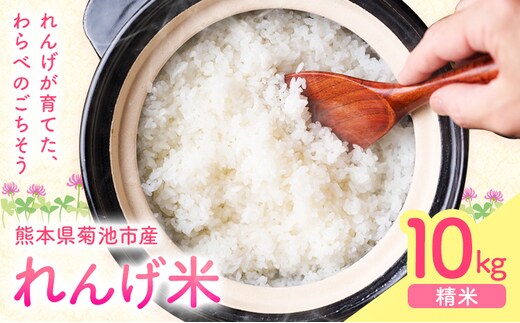熊本県菊池市産のれんげ米 10kg 《30日以内に出荷予定(土日祝除く)》 精米方法 精米 お米 白米 レンゲ米 熊本県産 九州産 送料無料---313-5002---