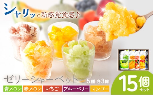 ゼリーシャーベット 15個セット(5種類×各3個) 道の駅七城メロンドーム《30日以内に出荷予定(土日祝除く)》メロン いちご マンゴー ブルーベリー シャーベット 洋菓子 お菓子 おやつ ゼリーシャーベット 送料無料---003-1071---