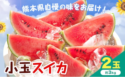 【先行予約】小玉スイカ 2玉 約3㎏ 日本フルーツ株式会社 《4月下旬-7月下旬頃出荷》 こだますいか 西瓜 すいか フルーツ 果物 くだもの 旬 熊本県 菊池市 熊本県産 くまもと---308-5021---