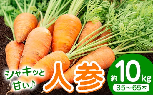 【先行予約】人参 約10kg(35-65本) 日本フルーツ株式会社《2026年4月上旬-6月上旬頃出荷》熊本県 菊池市 にんじん ニンジン 野菜 熊本県産---308-0012---