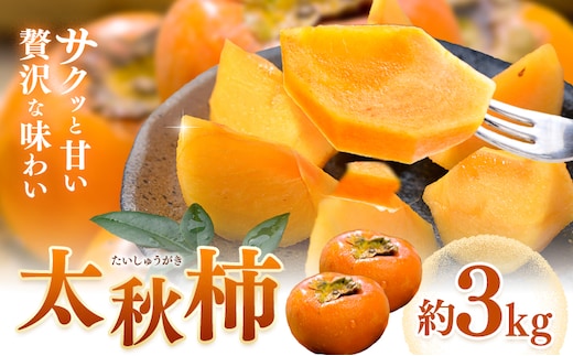 【先行予約】柿 太秋柿 たいしゅうがき 約3kg 日本フルーツ株式会社《2026年9月上旬-10月下旬頃出荷》熊本県 菊池市 柿 かき 熊本県産 秋の味覚 果物 くだもの フルーツ デザート---308-0009---