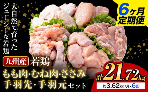 【6ヶ月定期便】 九州産若鶏もも肉 むね肉 ささみ 手羽先 手羽元 セット 計3.62kg 鶏肉 お肉 モモ肉 ムネ肉 5種類 詰め合わせ 小分け 冷凍 九州産 国産 熊本県 菊池市 送料無料《お申込み翌月から出荷》---0146-3109---