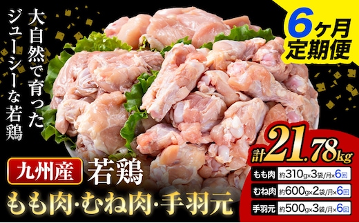 【6ヶ月定期便】 九州産 若鶏もも肉(310g×3袋) ムネ肉(600g×2袋) 手羽元 セット(500g×3袋) 計3.63kg 鶏肉 肉 鶏 手羽 手羽元 唐揚げ 詰め合わせ セット 冷凍 九州 国産 熊本県 菊池市 送料無料《お申込み翌月から出荷》---0146-3057---