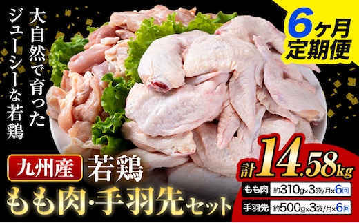 【6ヶ月定期便】 九州産 若鶏もも肉（310g×3袋）・手羽先セット（500g×3袋） 計2.43kg 鶏肉 肉 鶏 手羽 唐揚げ 詰め合わせ セット 冷凍 九州 国産 熊本県 菊池市 送料無料《お申込み翌月から出荷》---0146-3070---