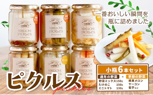 ピクルス 小瓶 6本セット 【メロンドーム】 ピクルス 野菜 酢漬け 漬物 おつまみ 旬の野菜 《30日以内に出荷予定(土日祝除く)》---003-2412---