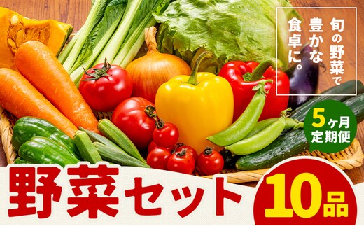 【定期便】 野菜 10品程度 計5回【メロンドーム】 定期便 5ヶ月お届け 詰め合わせ セット 国産 九州産 熊本県 菊池市 道の駅 送料無料《お申し込みの翌月から出荷》---003-2419---