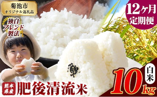 【12ヶ月定期便】 熊本県産 肥後清流米 白米 10kg ブレンド米 熊本県産 ふるさと納税 精米 米 こめ ふるさとのうぜい コメ お米 おこめ《1月から出荷開始》---300-4089---