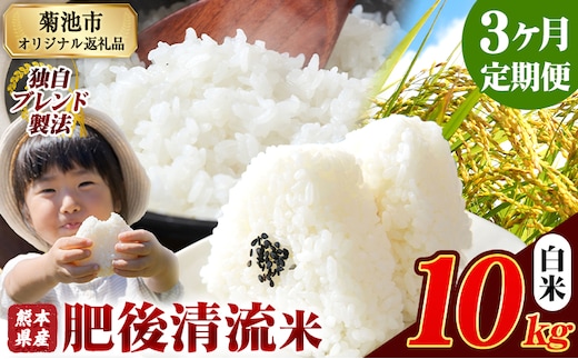 【3ヶ月定期便】 熊本県産 肥後清流米 白米 10kg ブレンド米 熊本県産 ふるさと納税 精米 米 こめ ふるさとのうぜい コメ お米 おこめ《お申込み翌月から出荷》---300-4343---