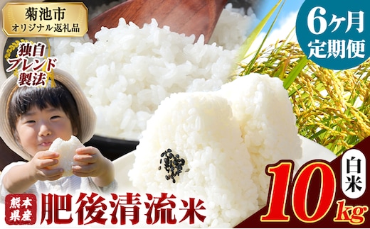 【6ヶ月定期便】 熊本県産 肥後清流米 白米 10kg ブレンド米 熊本県産 ふるさと納税 精米 米 こめ ふるさとのうぜい コメ お米 おこめ《1月から出荷開始》---300-4073---