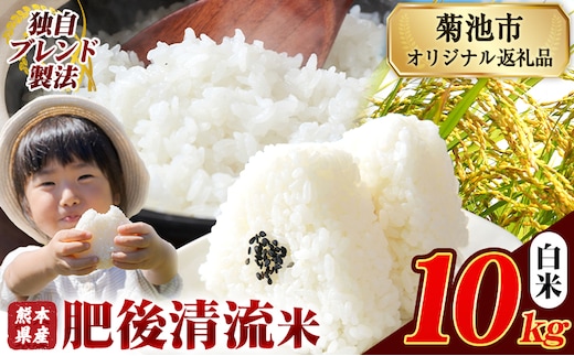 熊本県産 肥後清流米 白米 10kg ブレンド米 熊本県産 ふるさと納税 精米 米 こめ ふるさとのうぜい コメ お米 おこめ《12月中旬-2月末頃出荷》---300-4223---