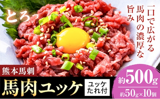 熊本 馬刺し 馬肉ユッケ 約500g ユッケたれ付き 合同会社トライウィン《90日以内に出荷予定(土日祝除く)》熊本県 菊池市 馬刺 刺身 馬肉 ユッケ たれ付き 小分け 個包装 冷凍 送料無料---143-1899---