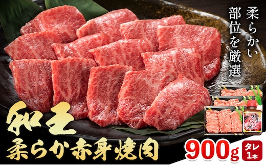 熊本県産A5等級和王 柔らか赤身焼肉 900g タレ付き 1本 帝神志方ミート株式会社《90日以内に出荷予定(土日祝除く)》熊本県 菊池市 牛肉 肉 お肉 和牛 くまもと黒毛和牛 熊本県産 A5 和王 赤身 赤身肉 柔らか 厳選 焼肉 志方のたれ---0149-3023---