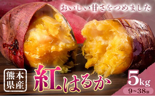 さつまいも 熊本県産 紅はるか 5kg 日本フルーツ株式会社《11月中旬-6月上旬頃出荷》熊本県 菊池市 さつまいも 薩摩芋 からいも 紅はるか デザート 料理 おやつ 蜜芋 野菜 芋 いも---308-0002---