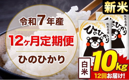 【12ヶ月定期便】新米 令和7年産 白米 10kg 米 ひのひかり《お申込み翌月から出荷》熊本県 菊池市 国産 熊本県産 白米 精米 無洗米 送料無料 ヒノヒカリ こめ お米---300-4249---