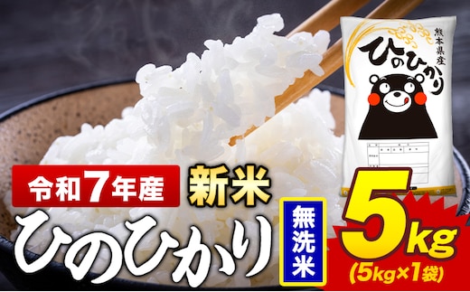 令和7年産 新米 無洗米 米 ひのひかり 5kg《7-14日以内に出荷予定(土日祝除く)》熊本県 菊池市 国産 熊本県産 精米 無洗米 送料無料 ヒノヒカリ こめ お米 ---300-4377---