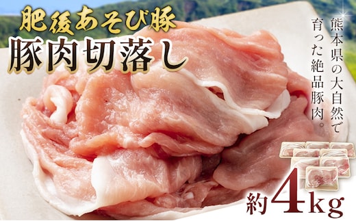 肥後あそび豚切落し 4kg 株式会社さつま屋産業 ぶた ブタ 豚肉 肉 ブランド豚 切り落とし 国産 九州産 熊本県産 菊池市産 冷凍 送料無料《90日以内に出荷予定(土日祝除く)》---015-1984---