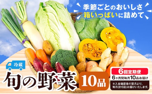 旬の野菜 定期便 計6回 旬の野菜 10品【養生市場】定期便 品種おまかせ ランダム 6ヶ月お届け 計6回 詰め合わせ セット 野菜 九州産 熊本県産《お申し込みの翌月から出荷》---003-2422---