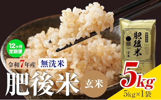 【12ヶ月定期便】熊本県産 肥後米 無洗米 玄米 5kg 1袋5kg 米 お米 令和7年産 九州産 熊本県産 送料無料《お申込み翌月に出荷予定》玄米 無洗米 米---026-3012mo12---