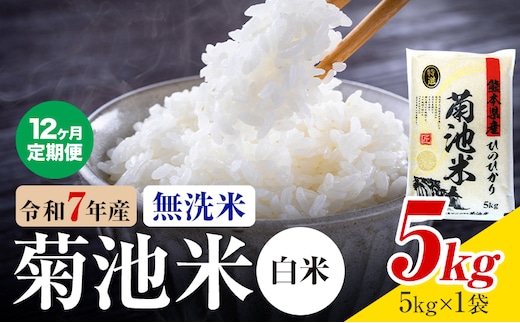 【12ヶ月定期便】熊本県産 菊池米 白米 無洗米 5kg 1袋5kg 米 お米 令和7年産 九州産 熊本県産 送料無料《お申込み翌月に出荷予定》 白米 米---026-3095mo12---