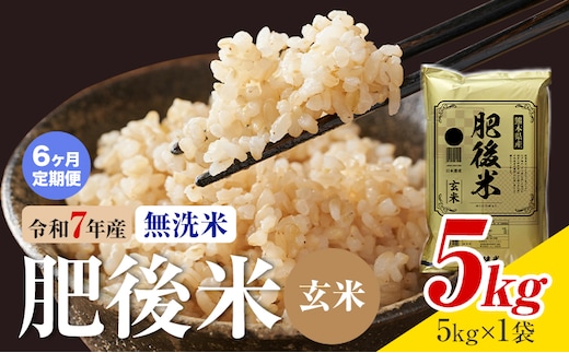 【6ヶ月定期便】熊本県産 肥後米 無洗米 玄米 5kg 1袋5kg 米 お米 令和7年産 九州産 熊本県産 送料無料《お申込み翌月に出荷予定》玄米 無洗米 米---026-3012mo6---