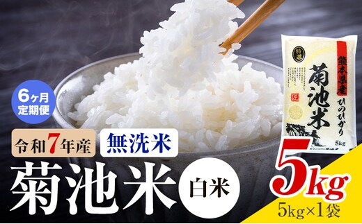 【6ヶ月定期便】熊本県産 菊池米 白米 無洗米 5kg 1袋5kg 米 お米 令和7年産 九州産 熊本県産 送料無料《お申込み翌月に出荷予定》 白米 米---026-3092mo6---