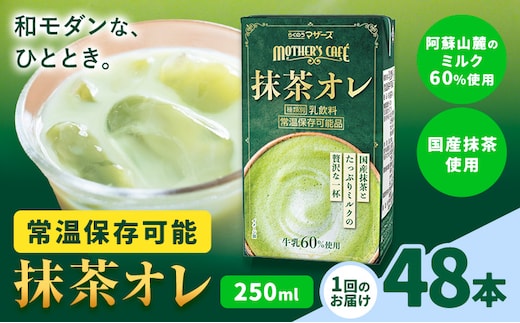 抹茶・オ・レ 【1回】250ml×48本 選べる 内容量 合同会社たべたせいか《30日以内に出荷予定(土日祝除く)》 抹茶オーレ 抹茶オレ 抹茶ミルク 抹茶 抹茶 乳製品 乳飲料 クロレラ 飲み物 飲料 常温保存 お取り寄せ 国産抹茶 熊本県産 菊池市 送料無料---0016-3151---