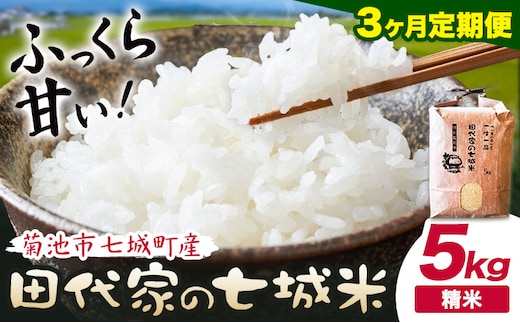 【3ヶ月定期便】令和7年産 菊池市七城町産 田代家の七城米 七城ヒノヒカリ 白米 5kg 田代こめや《お申込み翌月から出荷》熊本県 菊池市 米 お米 精米 ひのひかり 菊池市産 熊本県産 九州産 送料無料---323-5014---
